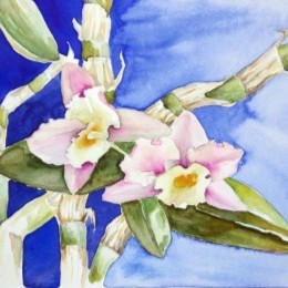 Aquarellbild zweier Orchideen in Rosa- und Blautönen